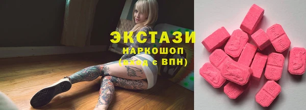 гидра Надым