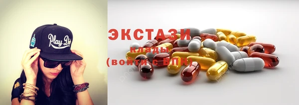 гидра Надым