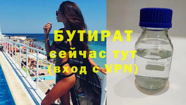 гидра Надым